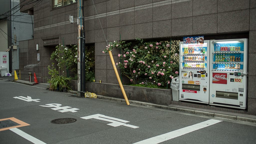 Japan lettering on the streets roses and vending machines